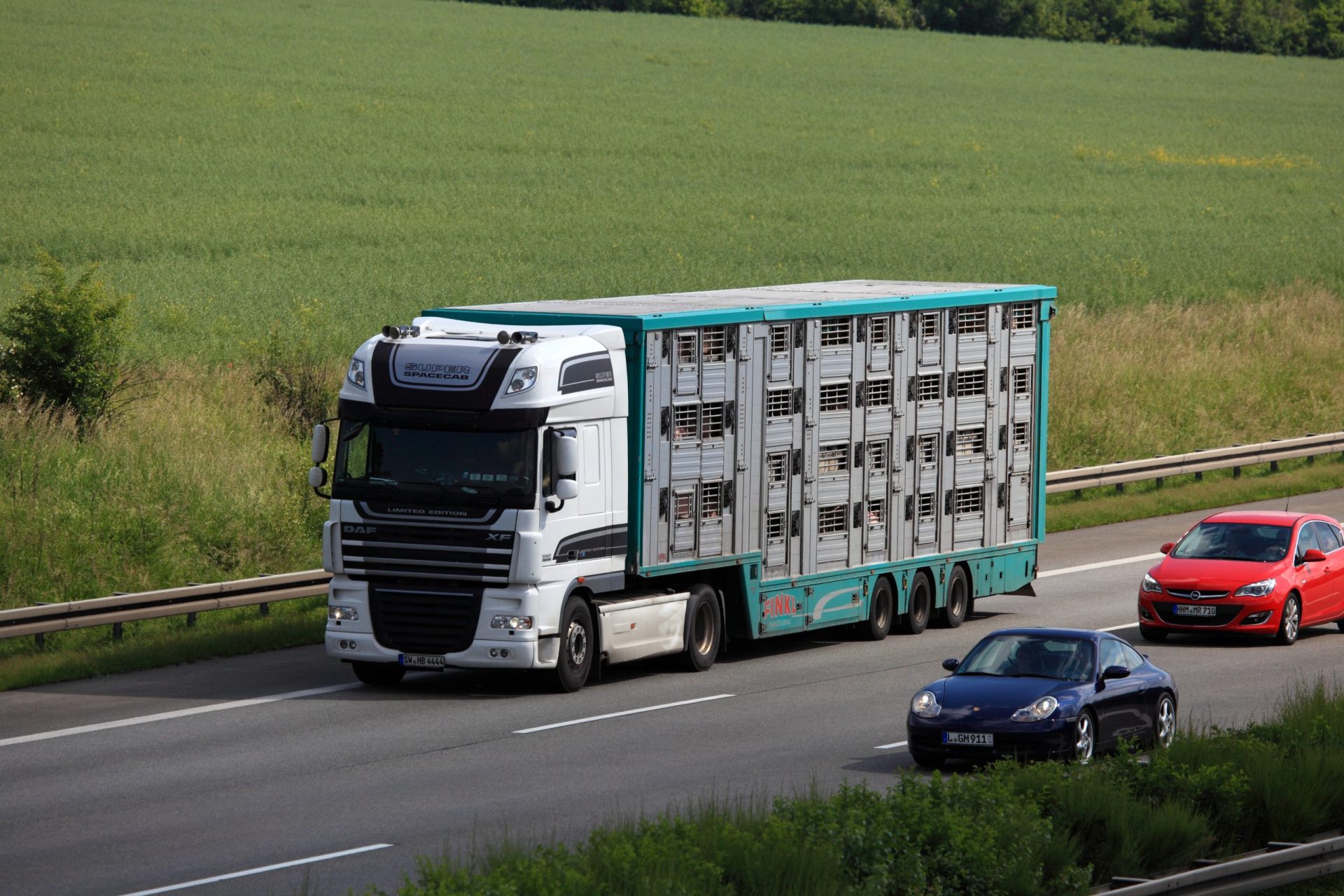 PAN quer alterar transporte de animais vivos