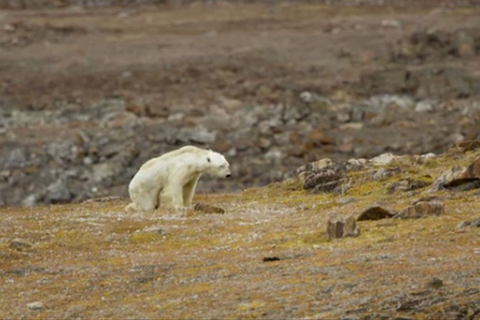 “Isto é morrer à fome”. A imagem chocante que mostra o impacto das alterações climáticas