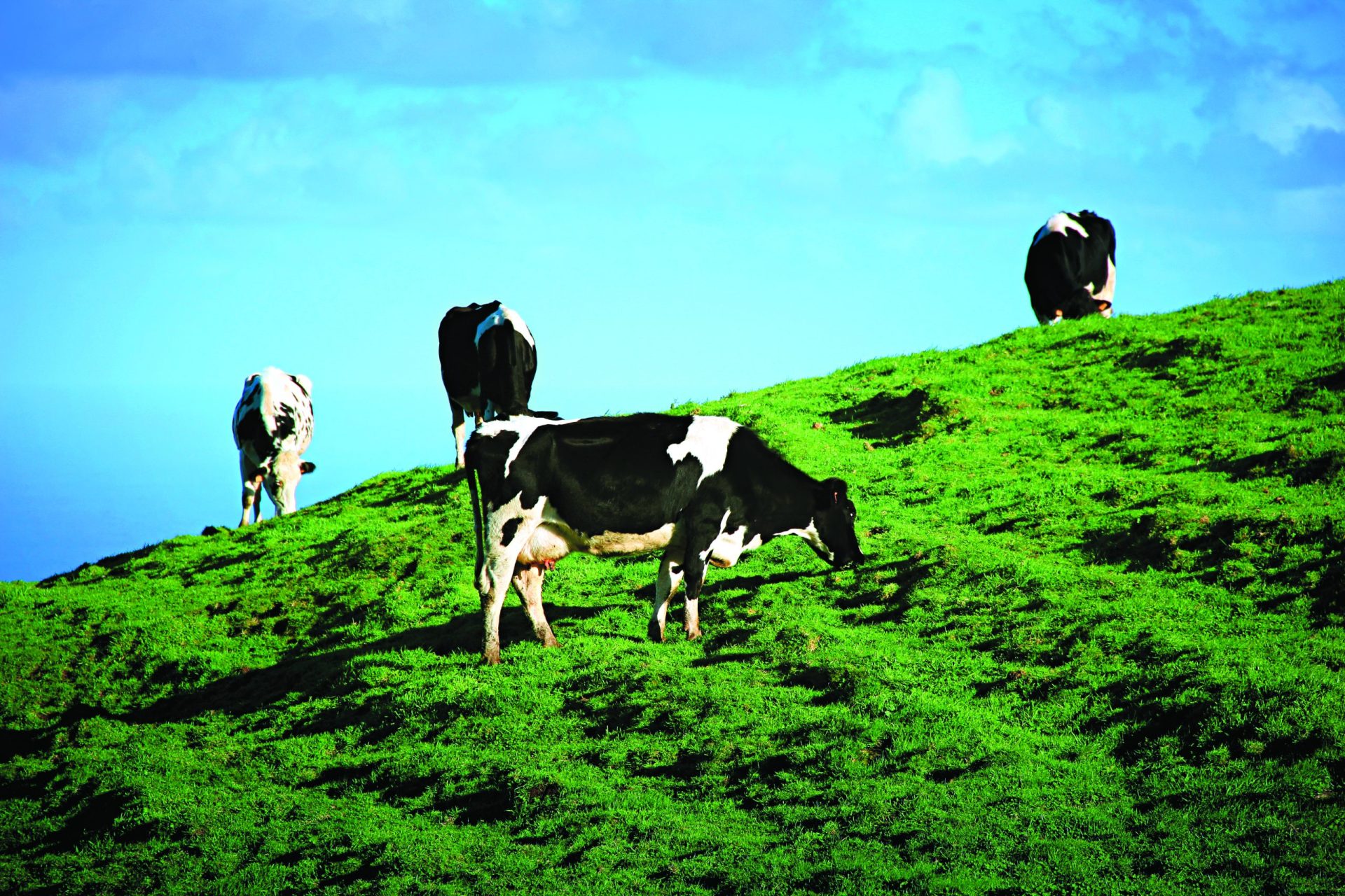 Propriedades a saque. O mundo surreal  dos roubos agrícolas