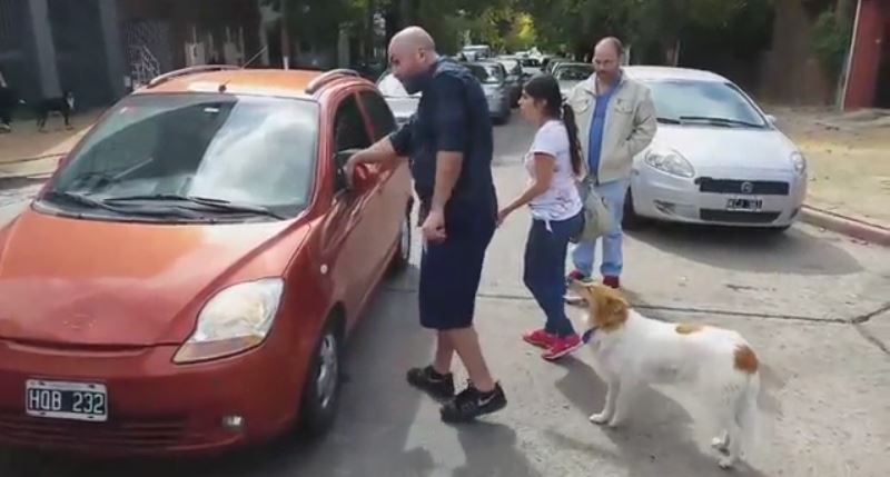 Família tenta abandonar cão na rua e é humilhada em público [vídeo]