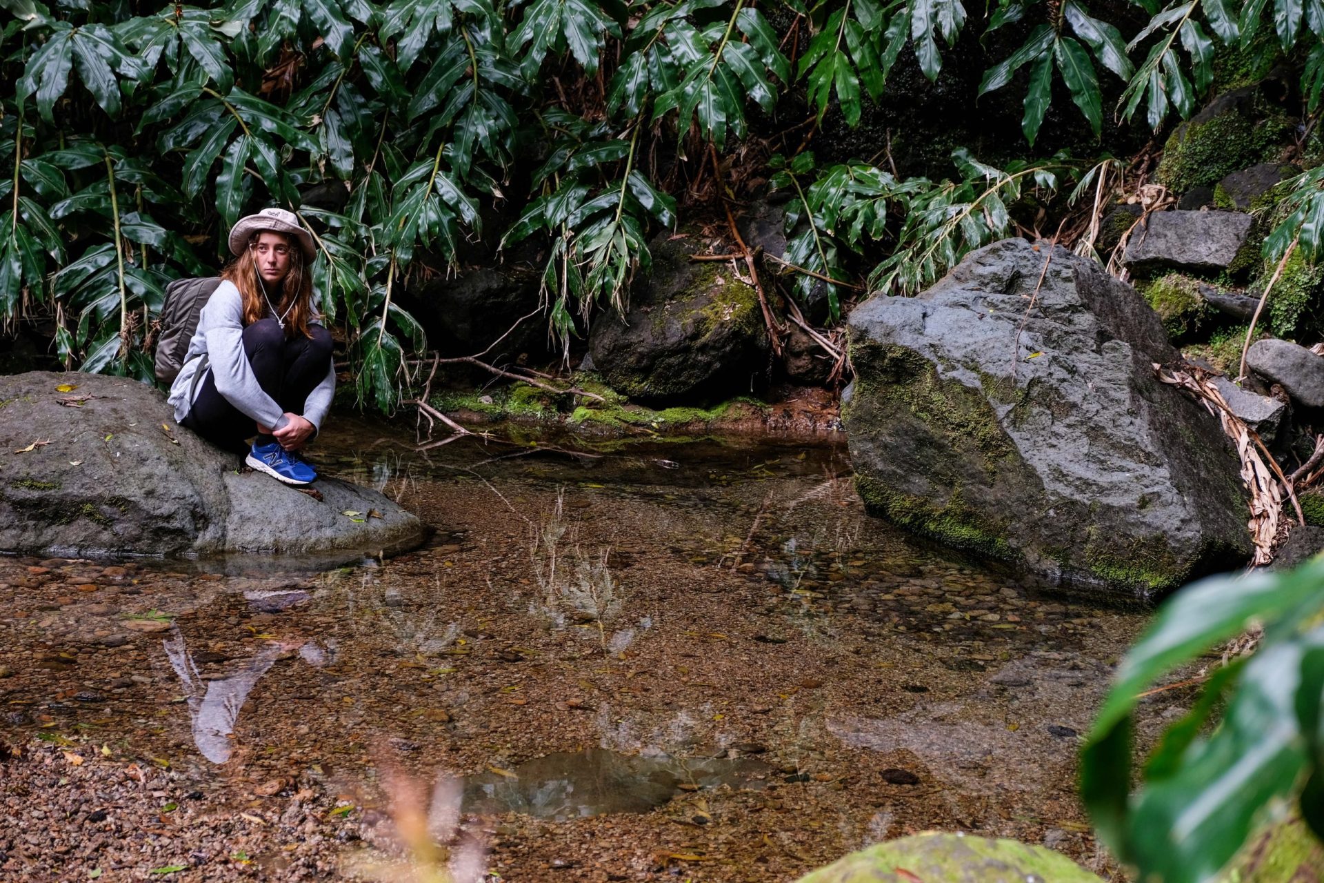 Tremor Todo Terreno. Pelo trilho encantado de Jacco Gardner