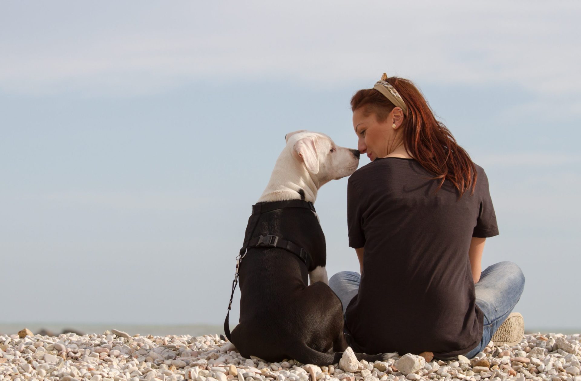 Sabia que os humanos conseguem ter um olfato tão apurado quanto os cães?