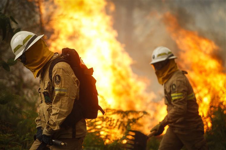 Incêndio corta auto-estrada A4