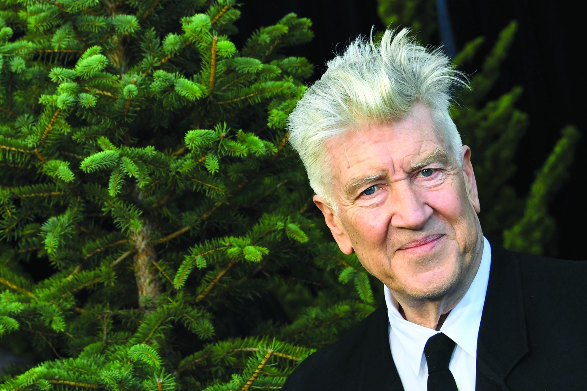 Obituário. Quem matou  o realizador David Lynch?