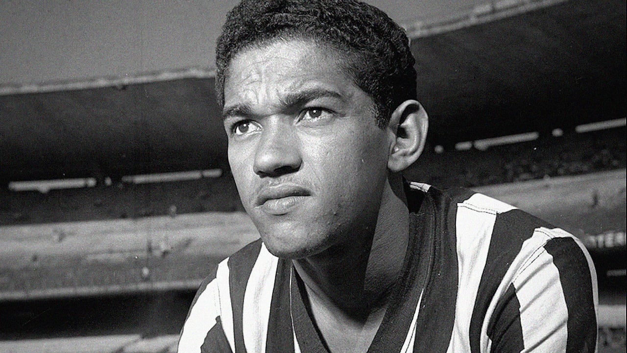 Garrincha. Restos mortais desaparecem do cemitério