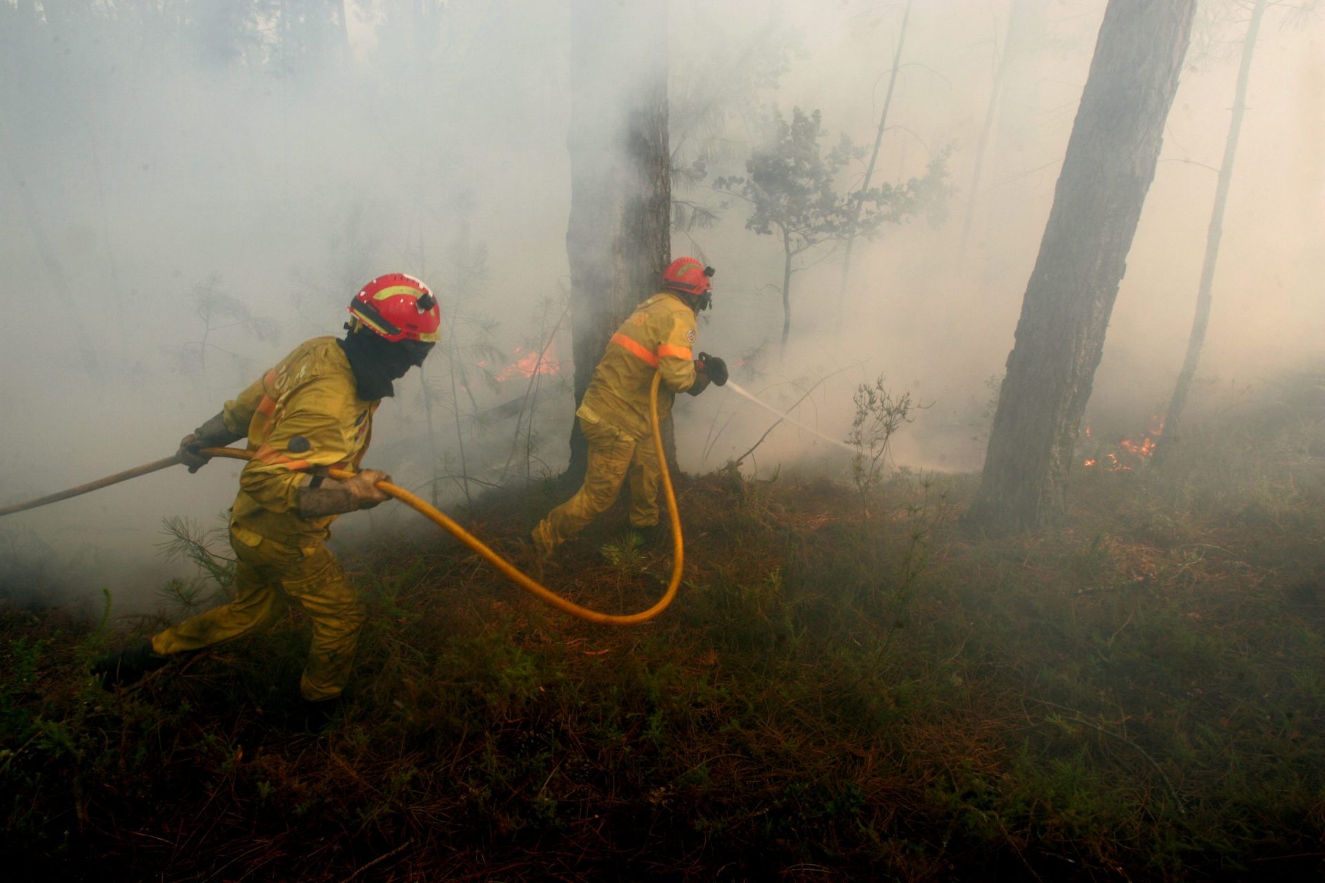 Incêndio de Pedrógão poderá estar dominado nas próximas 24 horas