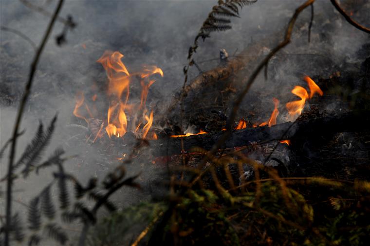 A Quinta que resistiu ao fogo