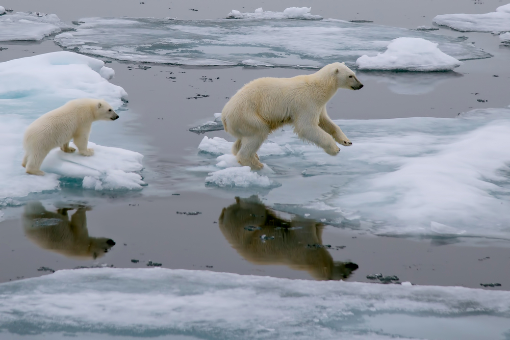 Sete coisas que todos têm de saber sobre alterações climáticas