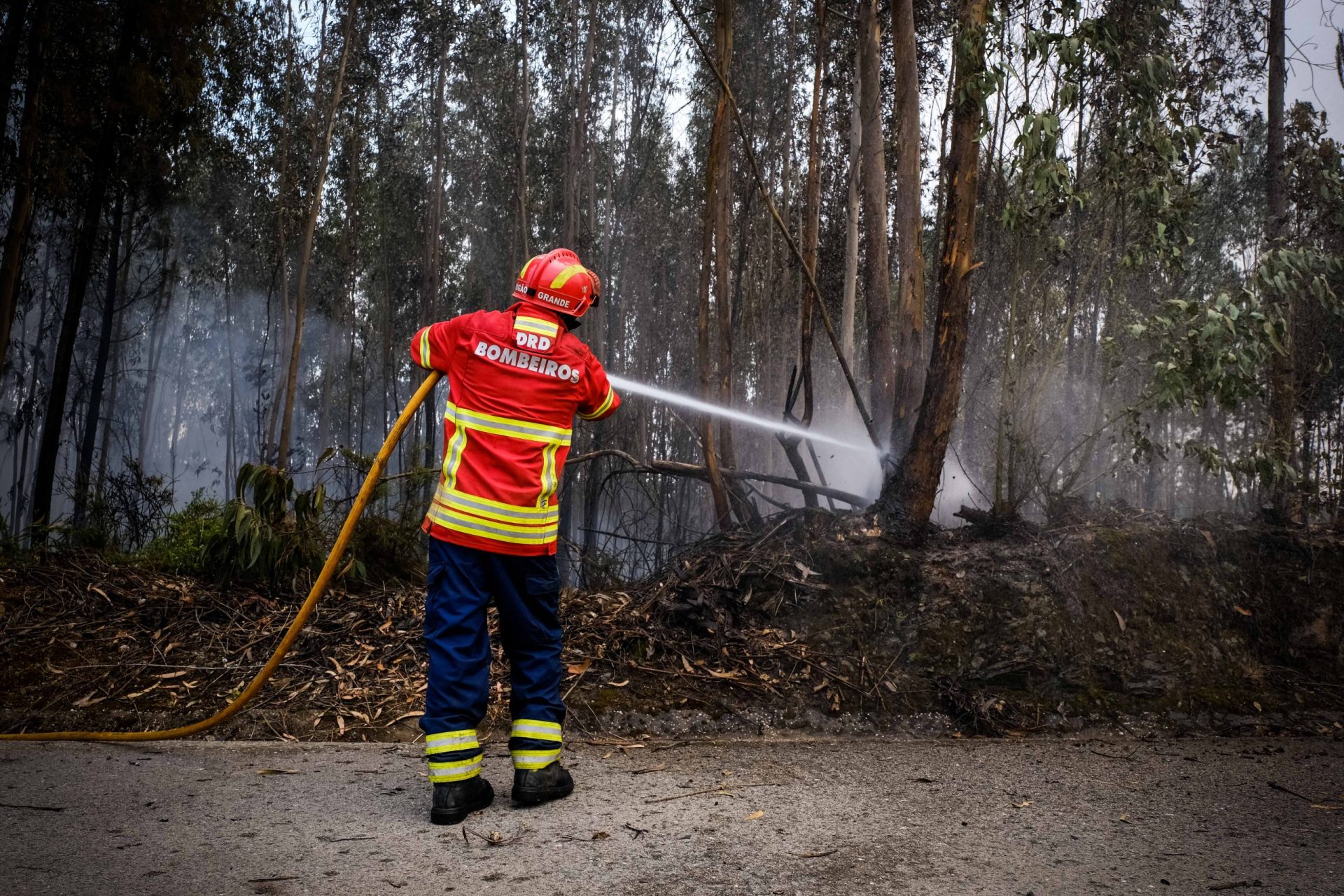 Administração Regional de Saúde nega que tenha havido suicídios relacionados com os incêndios