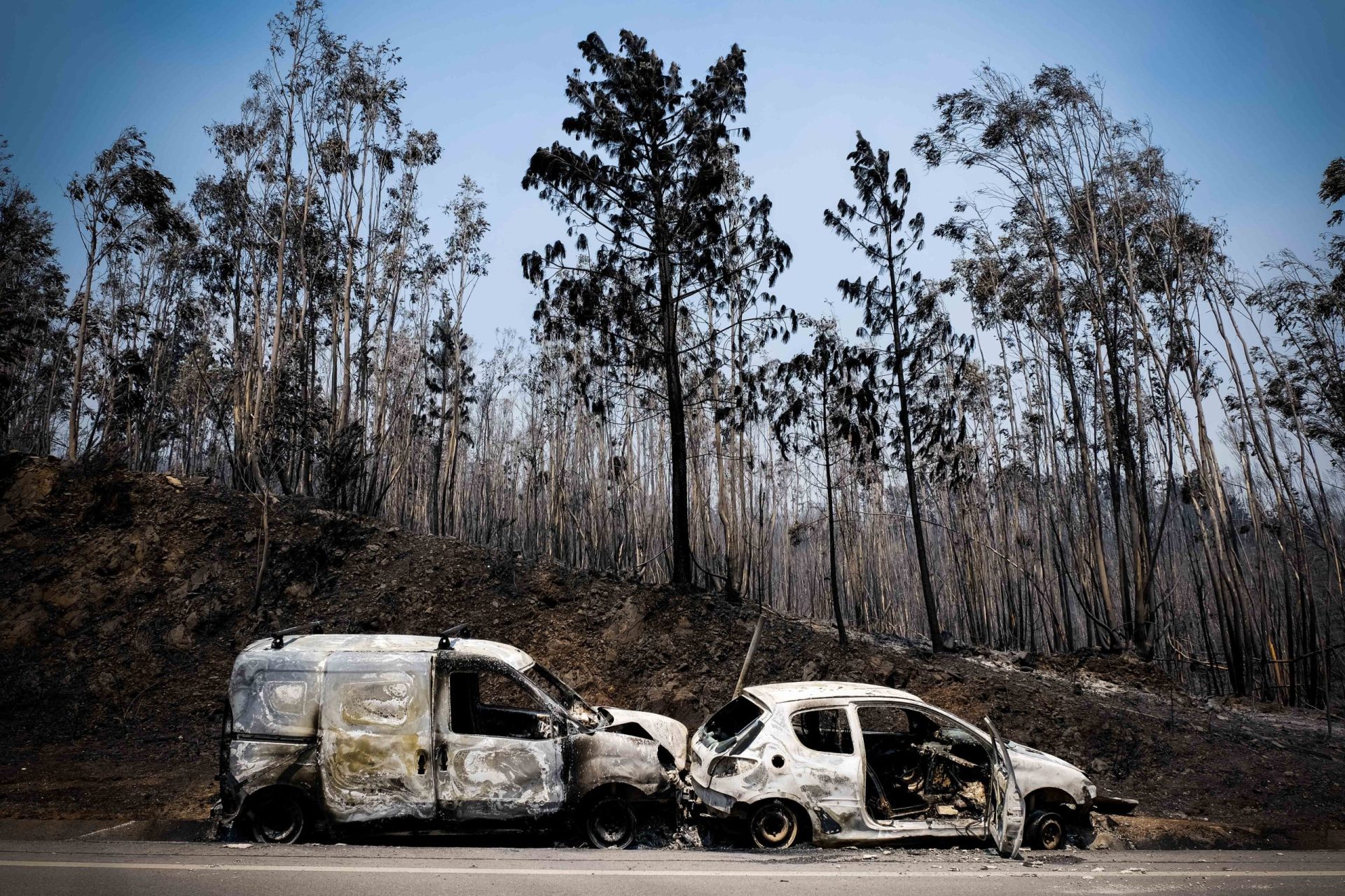 Pedrógão. Proteção Civil pediu ajuda  tarde demais  para evitar mortes