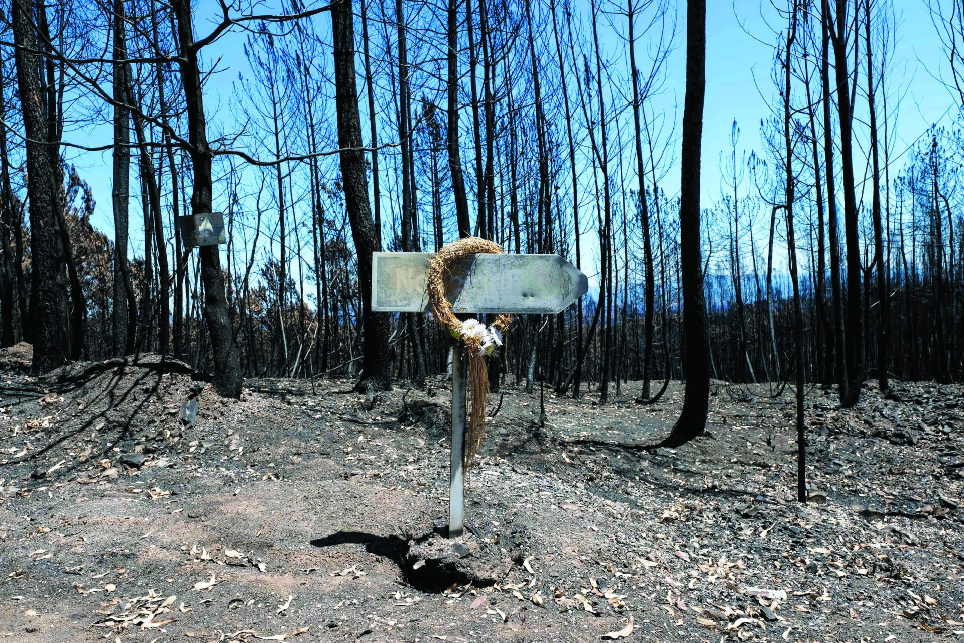 Um mês depois. Pedrógão já não arde mas ainda queima