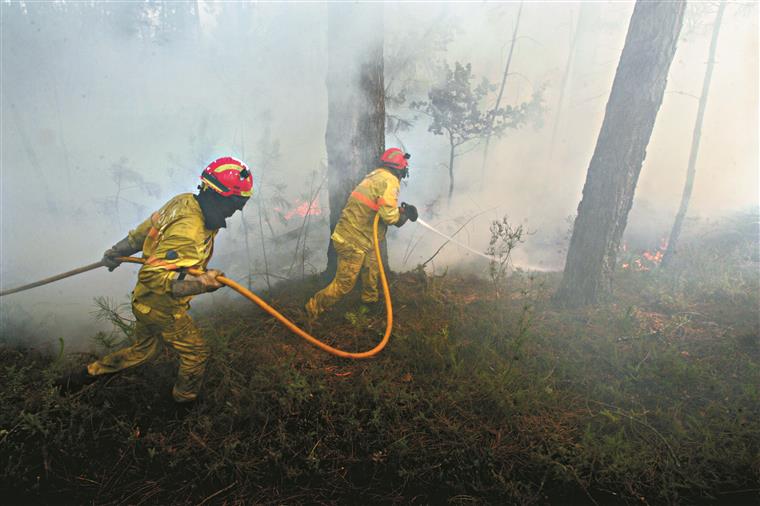 Quer ajudar os bombeiros de Castanheira de Pera? Só tem de comprar uma fotografia