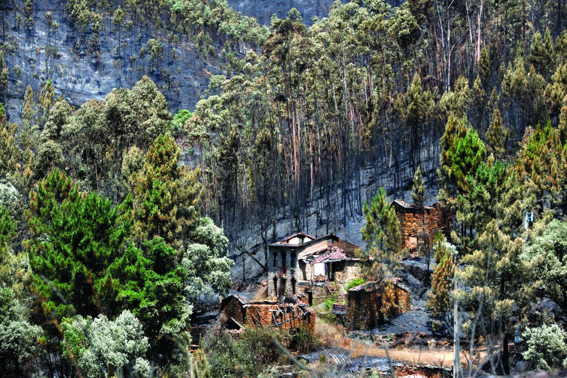 Incêndio. MAI e Justiça recusaram divulgar informações sobre as vítimas de Pedrógão