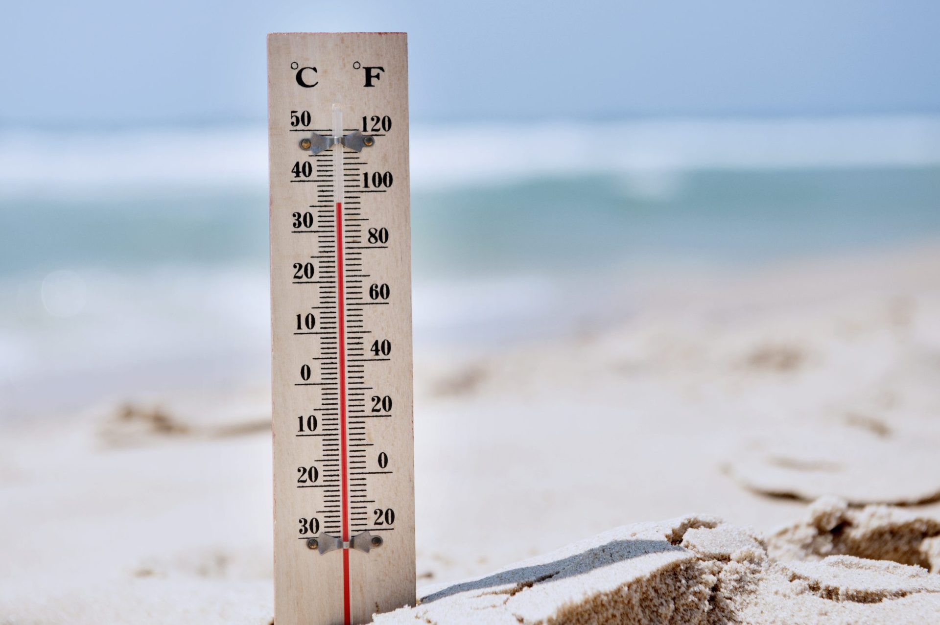 Calor volta em força durante esta semana