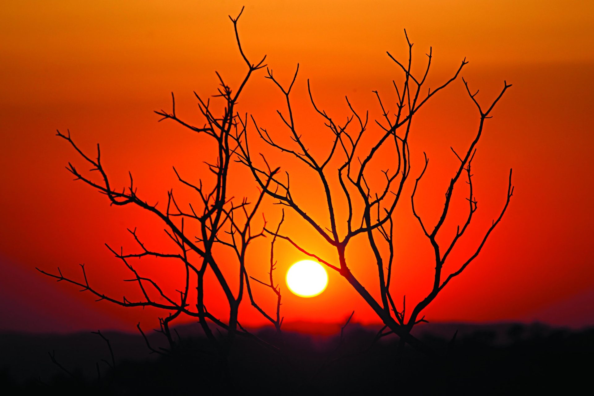 Meteorologia. Depois da ventania, um alerta para o calor