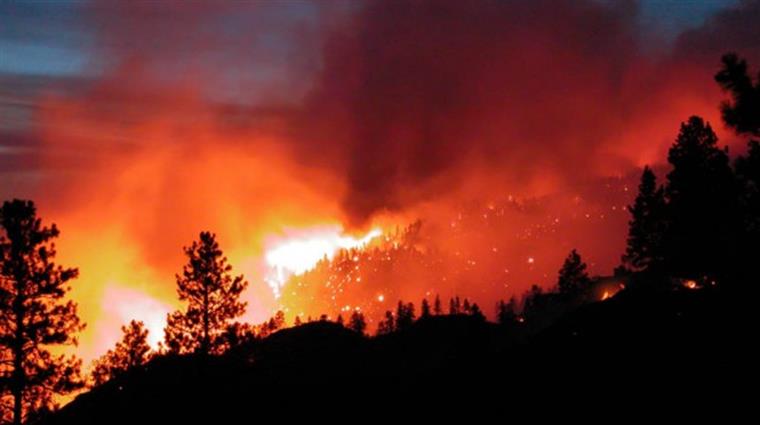 Incêndios. Há uma semana que o país arde sem parar