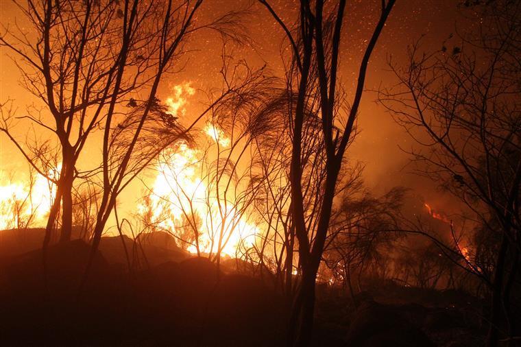 Incêndios de Mação e Vila de Rei são os mais preocupantes