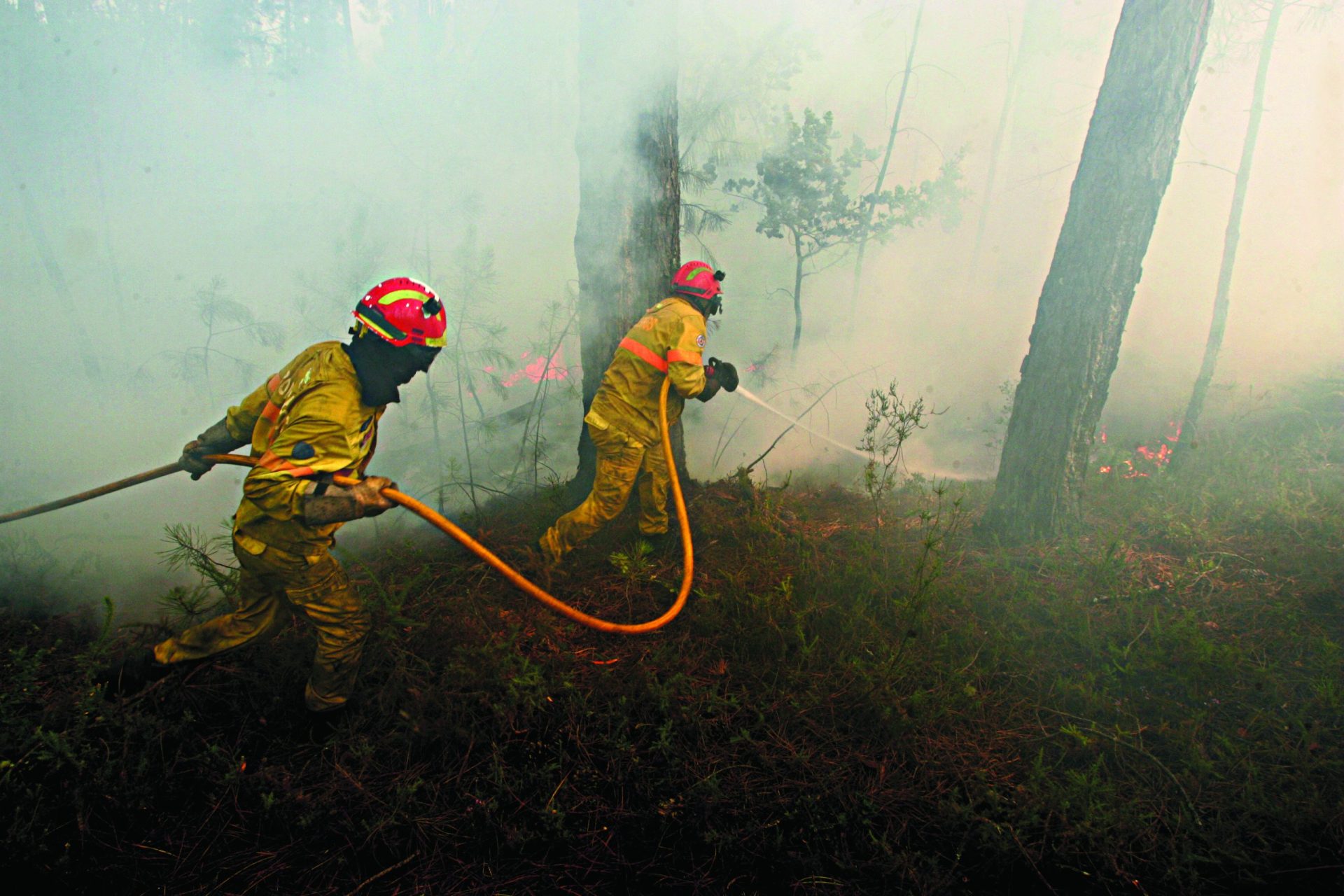 Incêndios. Sapadores florestais não têm seguro para combate aos fogos