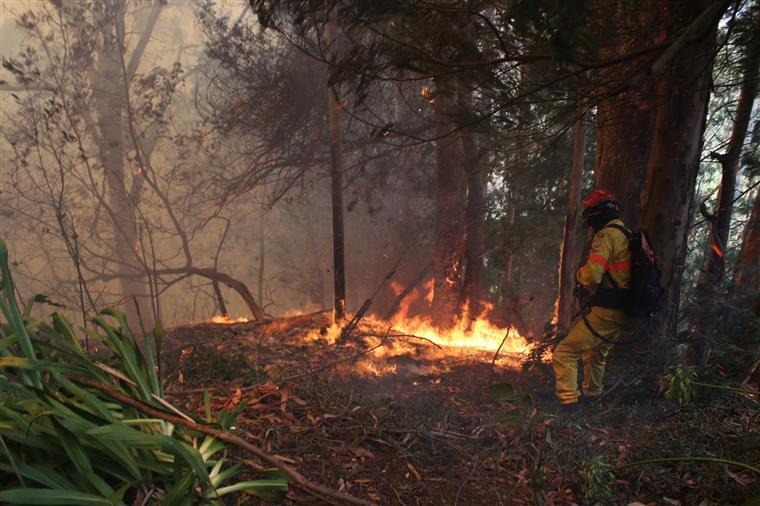 Incêndios. Câmara do Funchal homenageia vítimas com escultura