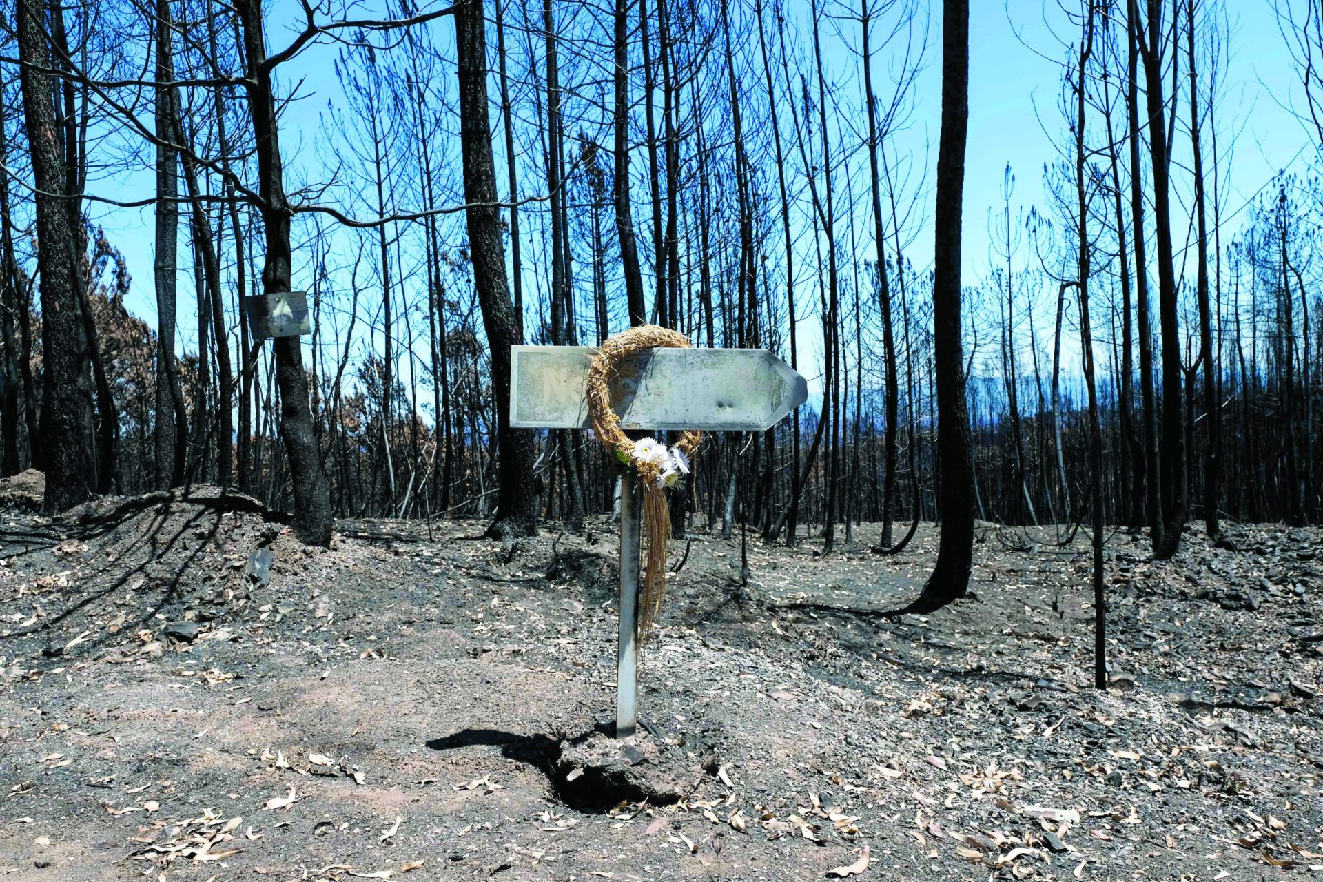 Pedrógão. Autarcas desconfiam de desvio de donativos para o incêndio