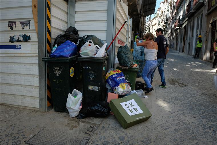 Higiene Urbana. Câmara de Lisboa quer mudar regulamento e responsabilizar cidadãos