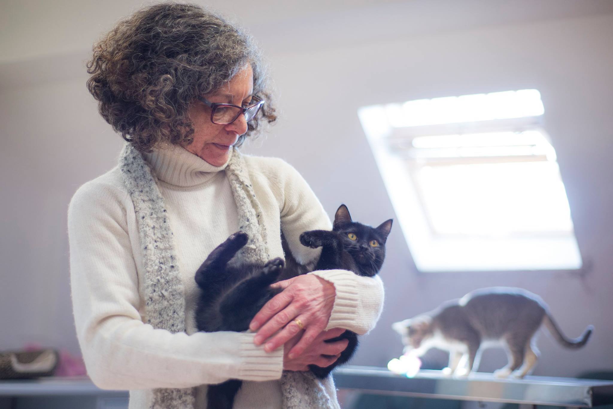 Fazer tudo pelos animais. Mudanças de casa, criação de associações  e perda de amigos