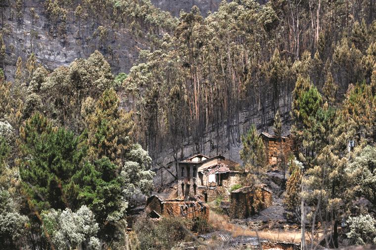 Capítulo proibido de Pedrógão Grande. As histórias de quem não conseguiu afastar-se de casa