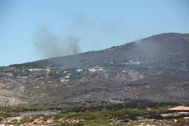 Sintra-Cascais. Reflorestação começa no sábado