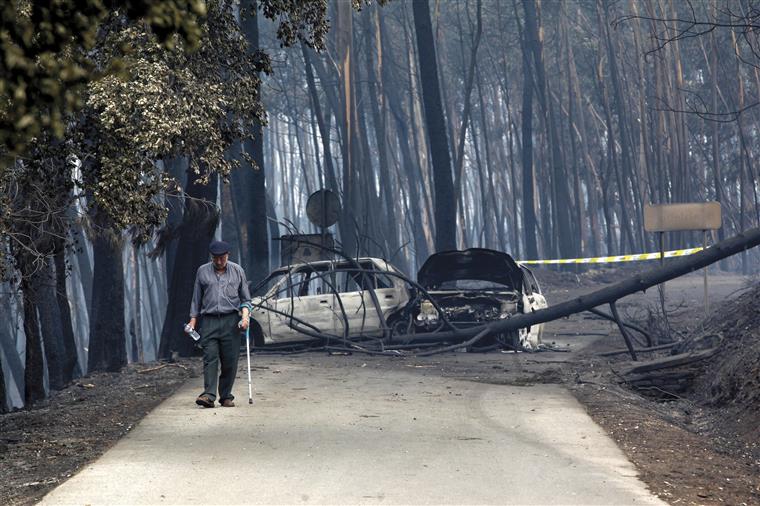 Fundo para ajudar regiões afetadas pelos incêndios de outubro