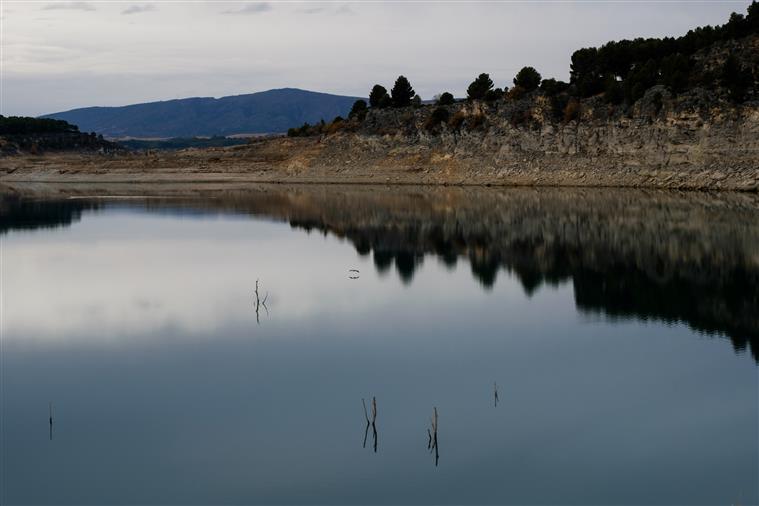 Quercus alerta para surgimento de “quantidade massiva” de plantas no Tejo