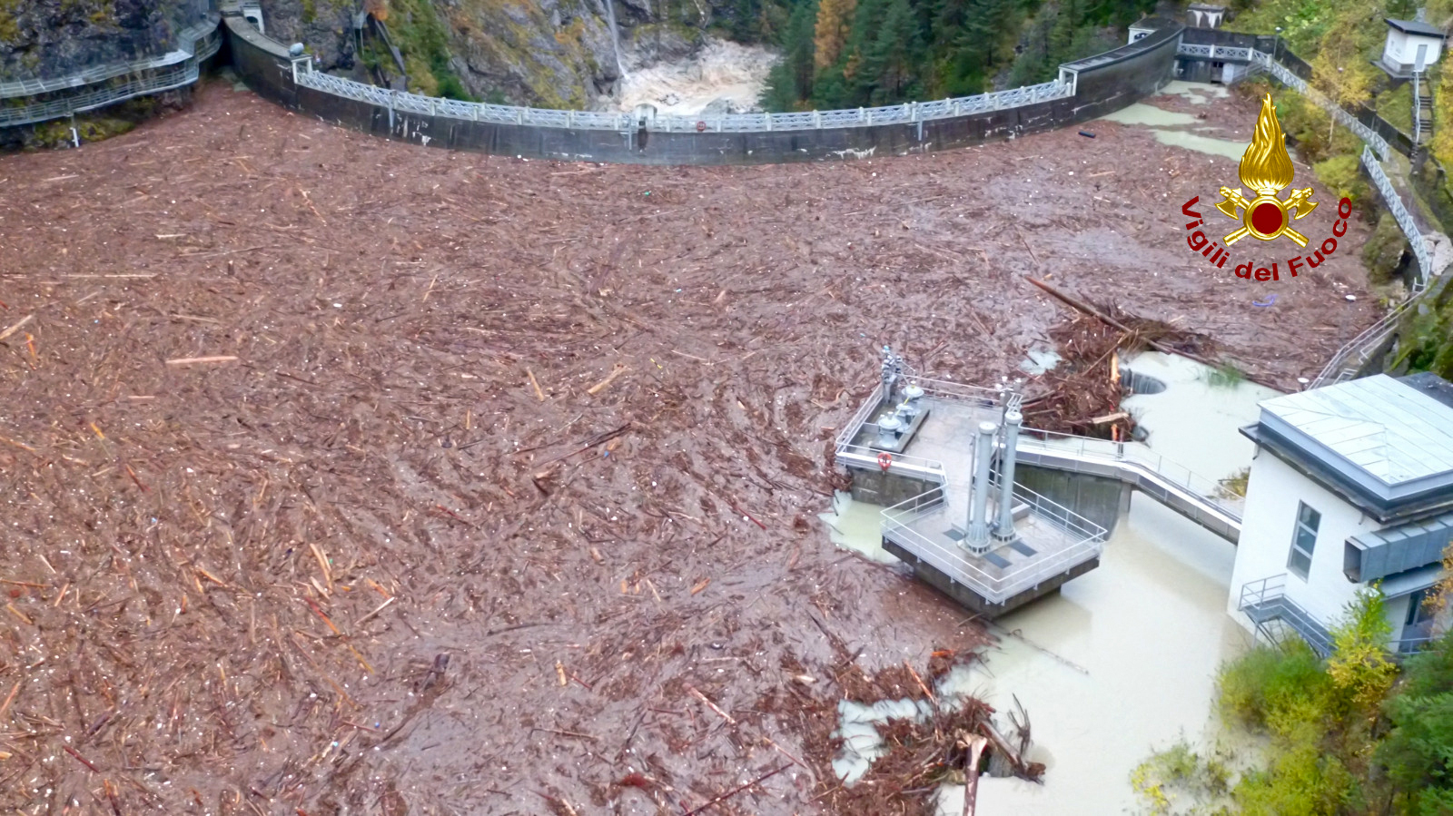 Itália. Tempestade já destruiu cerca de 14 milhões de árvores