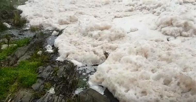 Espuma no rio Tejo alerta para perigos da poluição