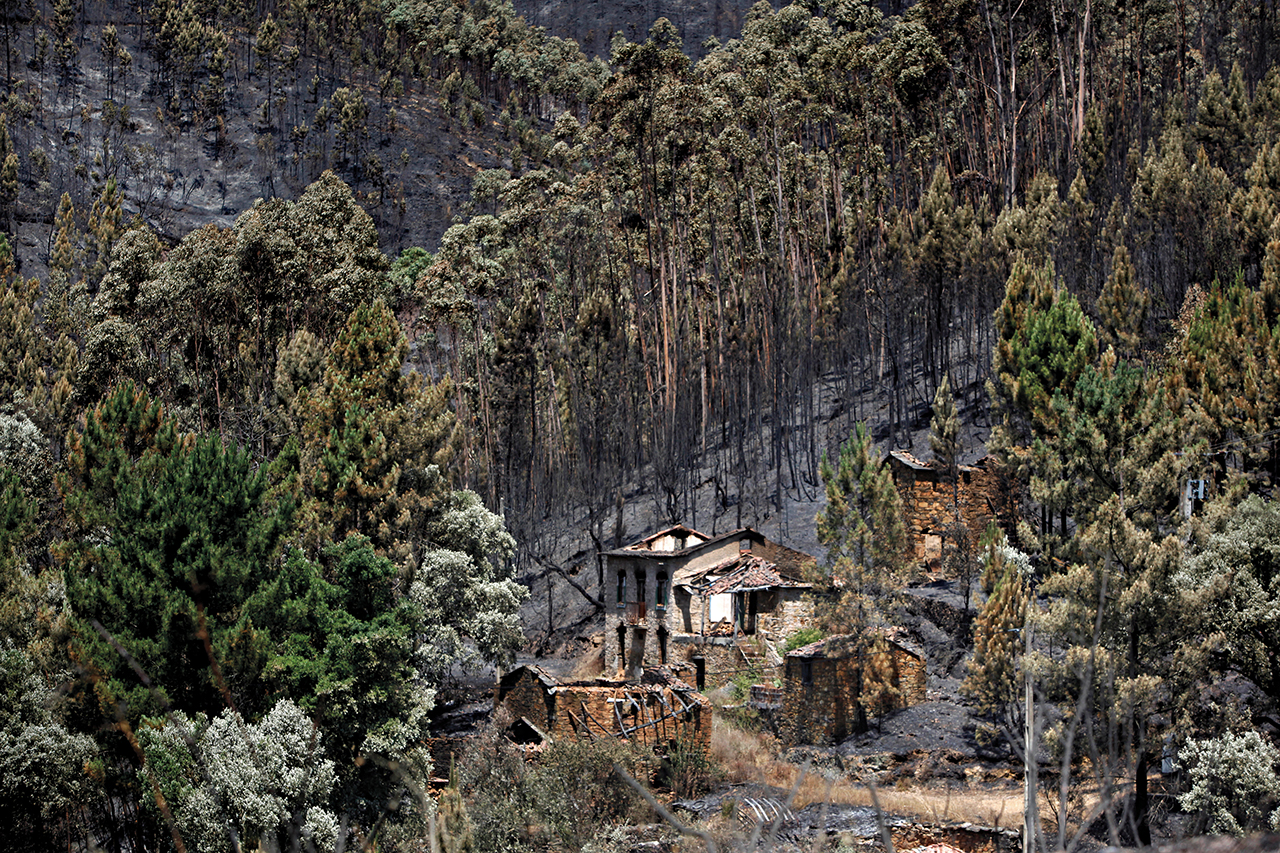 Incêndios. Autarcas vão a Belém queixar-se da “postura impositiva” do governo