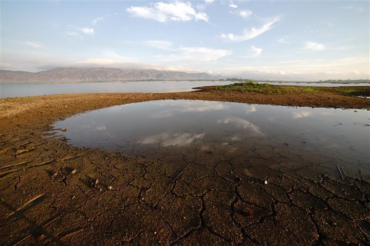 Seca leva à pior campanha de cereais dos últimos cem anos