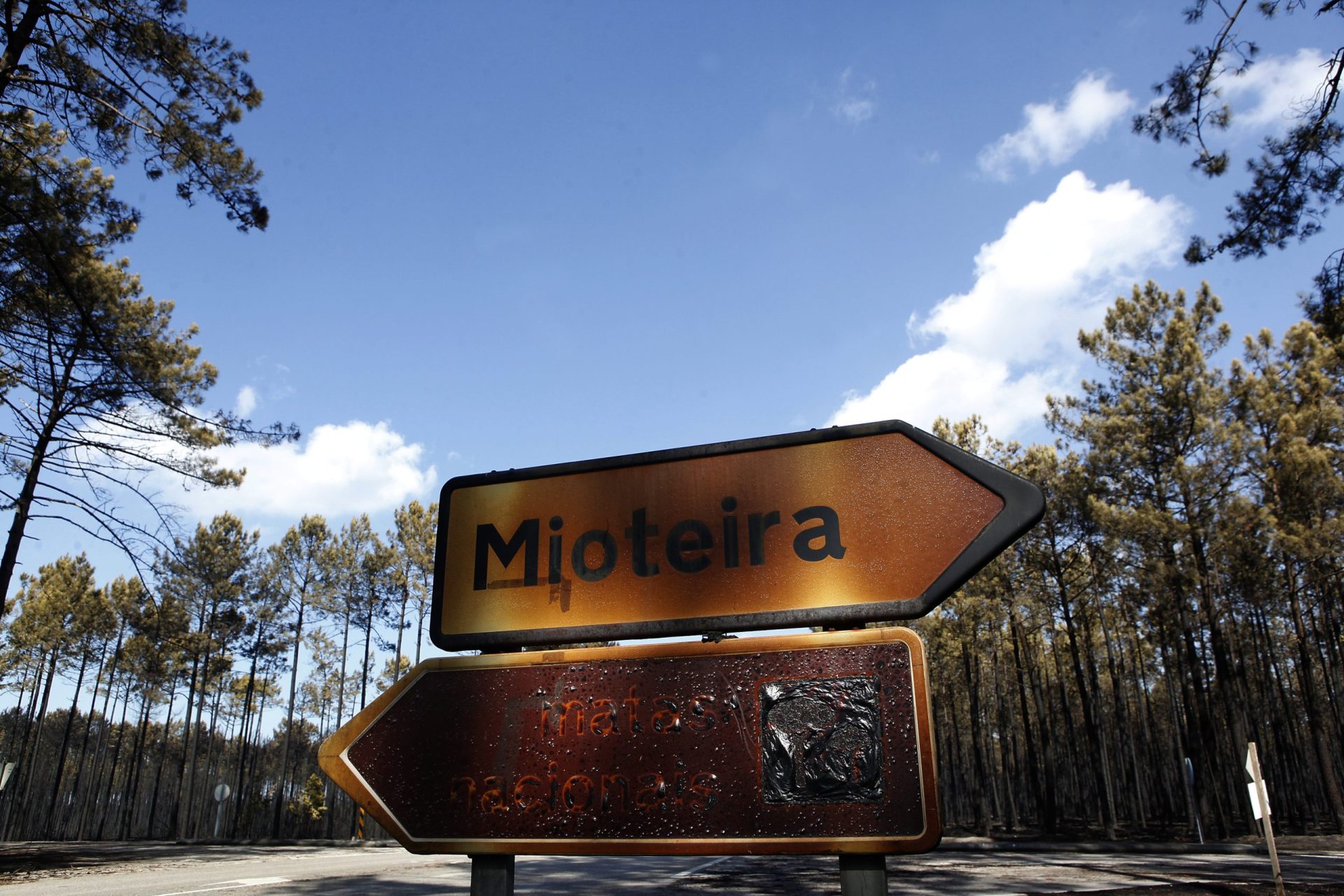 Feridos dos incêndios têm até 30 de maio para pedir indemnizações