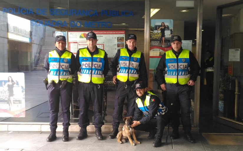 PSP resgata cão preso no caixote do lixo no metro de Lisboa