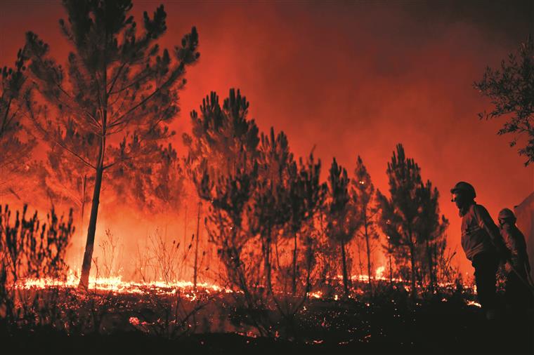 Padres ajudam a prevenir incêndios