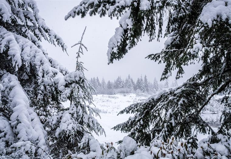 700 alunos sem aulas em Montalegre devido a queda de neve