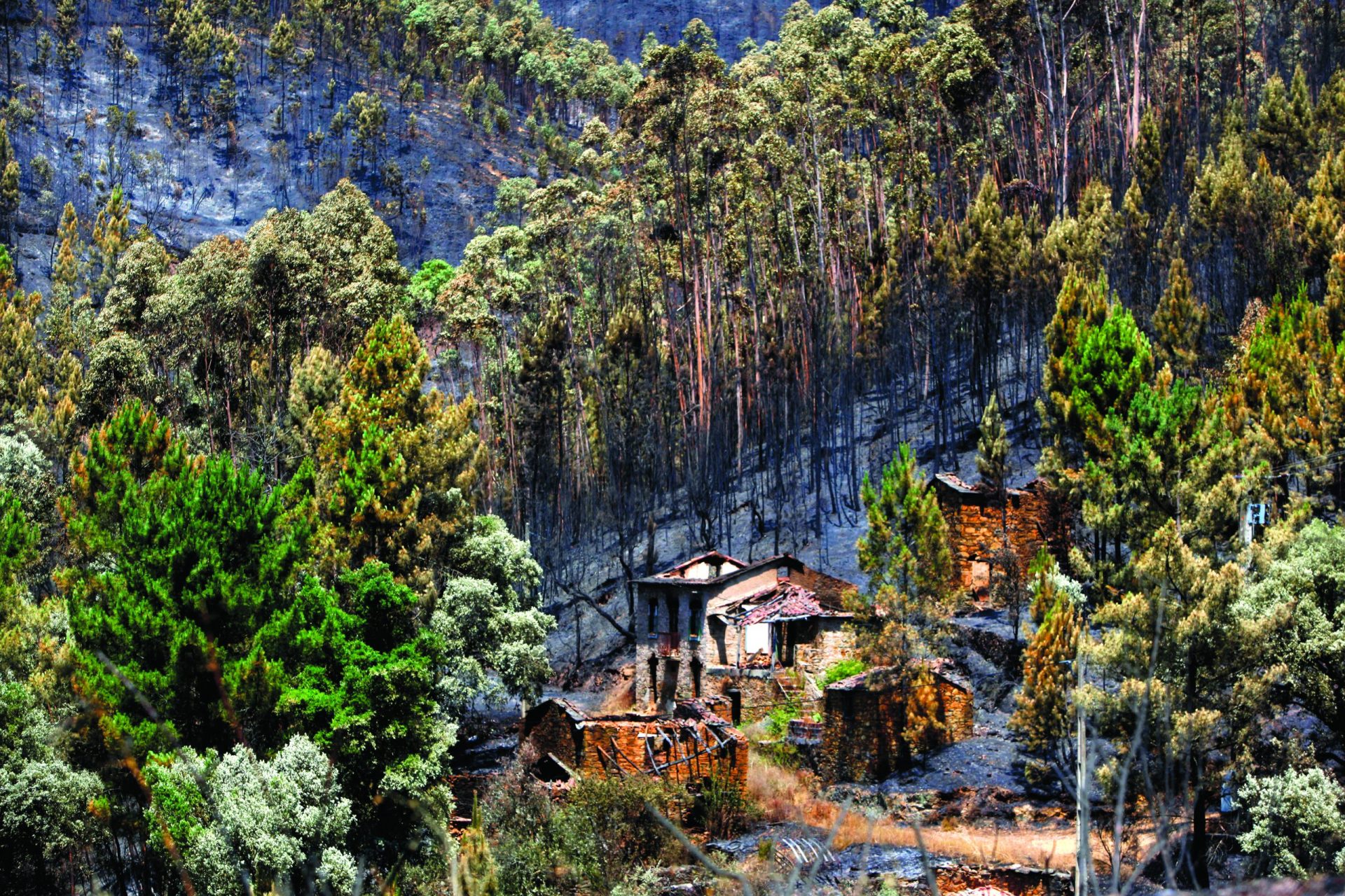 Incêndios de outubro. Oito pessoas morreram a dormir