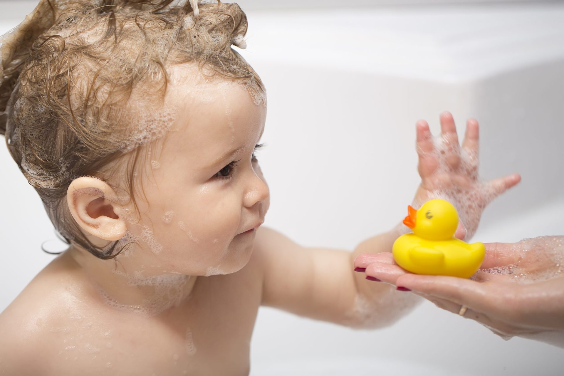Sabia que os brinquedos de banho usados pelas crianças é um armazém de bactérias?