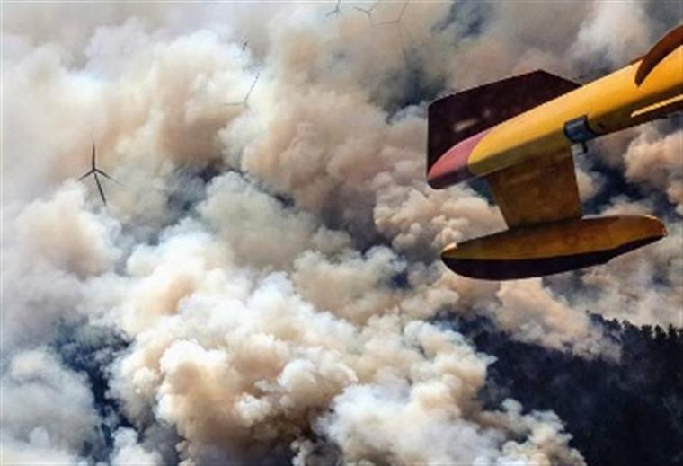 Piloto fala sobre falsa queda de Canadair em Pedrógão: “tivemos de avisar as nossas famílias”