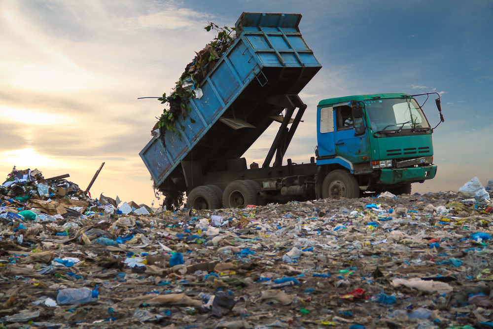 Ecobiologia. Uma maneira diferente de olhar para o mundo