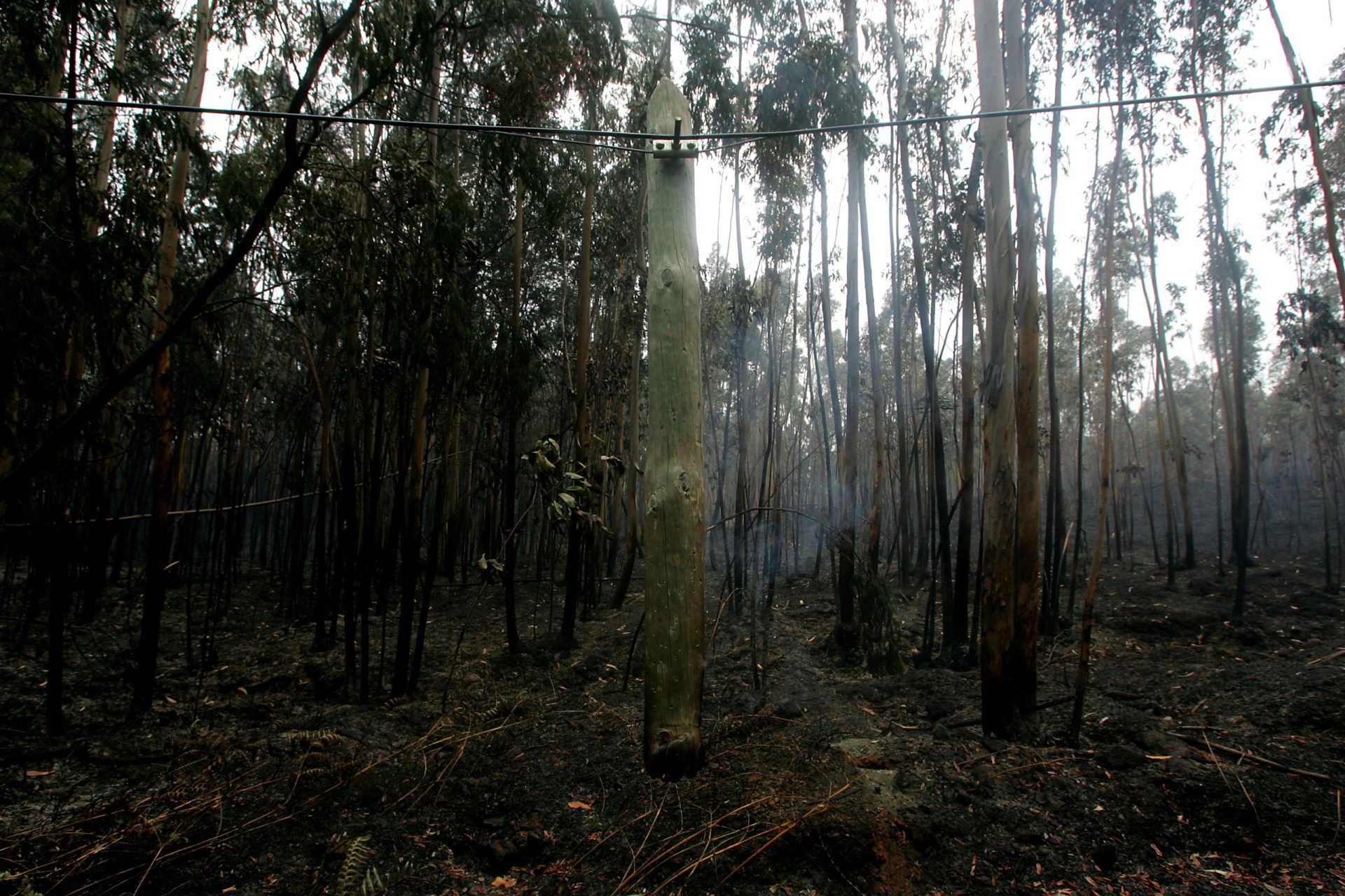 Incêndios. Que as recomendações e os relatórios não fiquem a arder