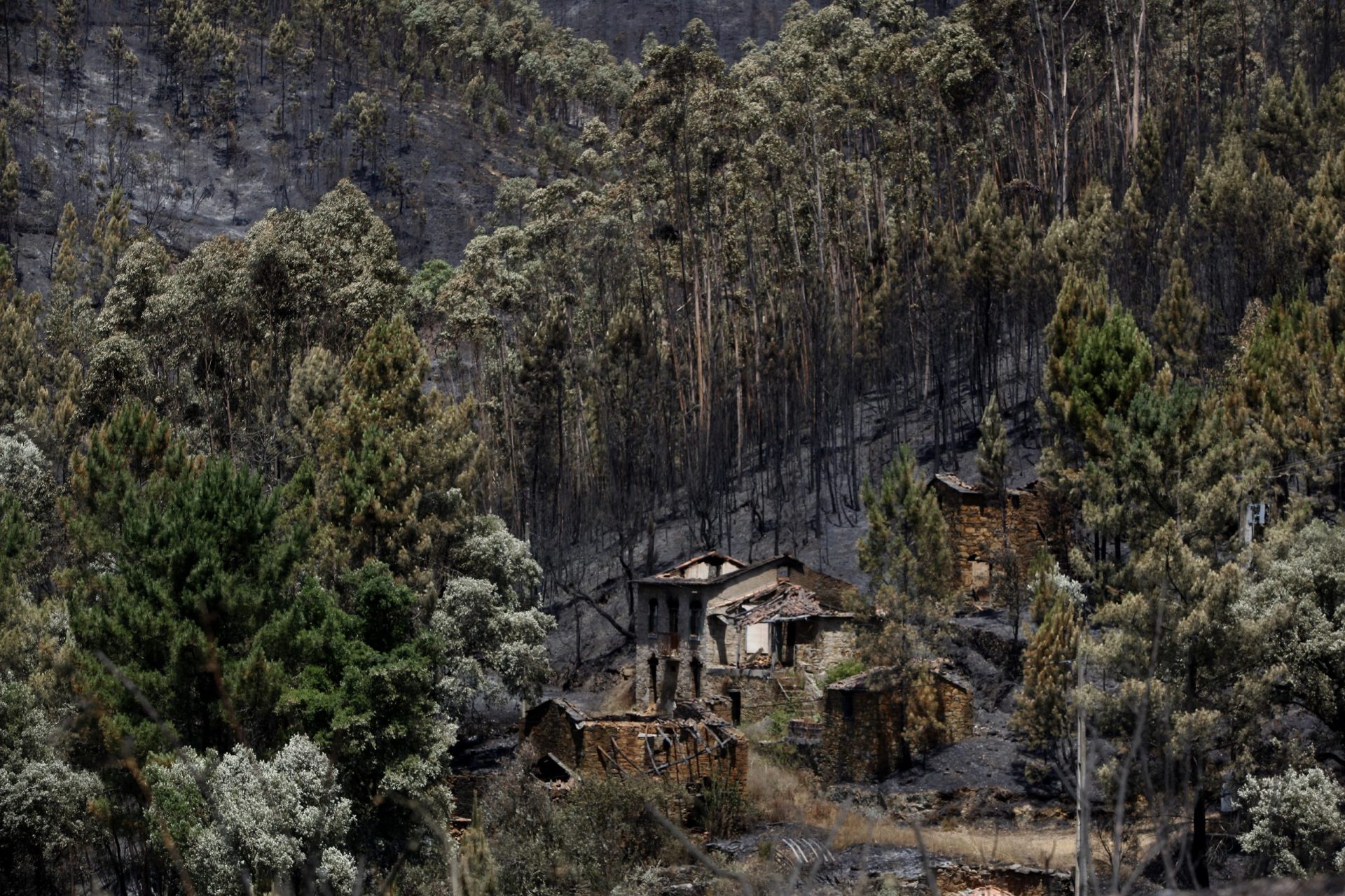 PGR confirma dez arguidos no caso dos incêndios de Pedrógão