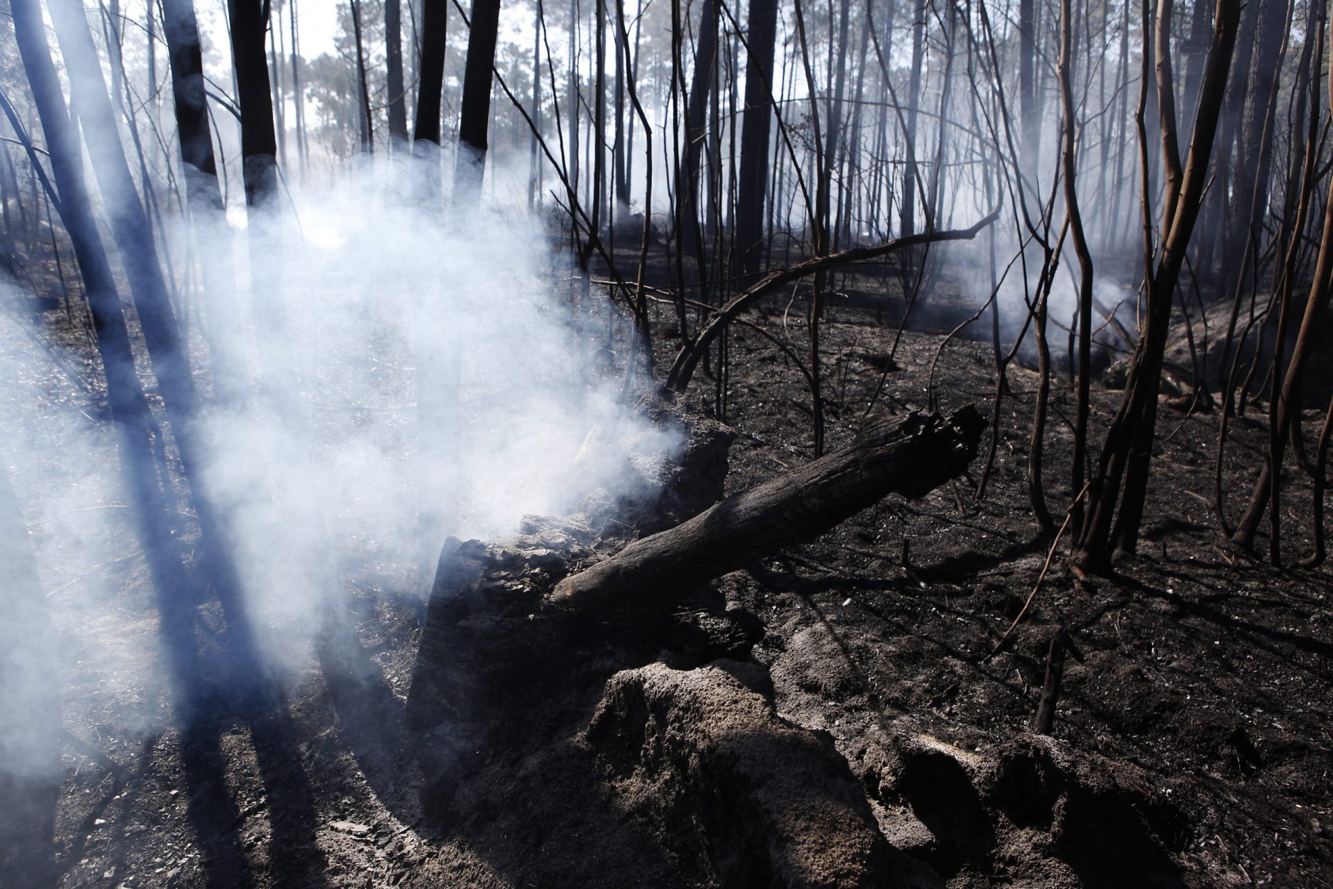 Número de vítimas dos incêndios de outubro sobe para 50