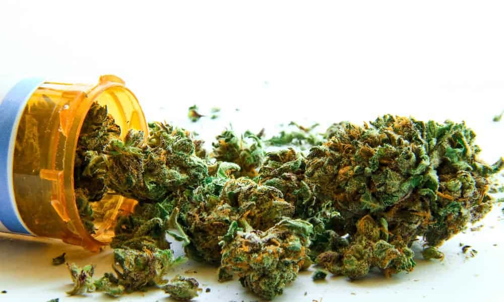 Parlamento decide amanhã uso de canábis medicinal