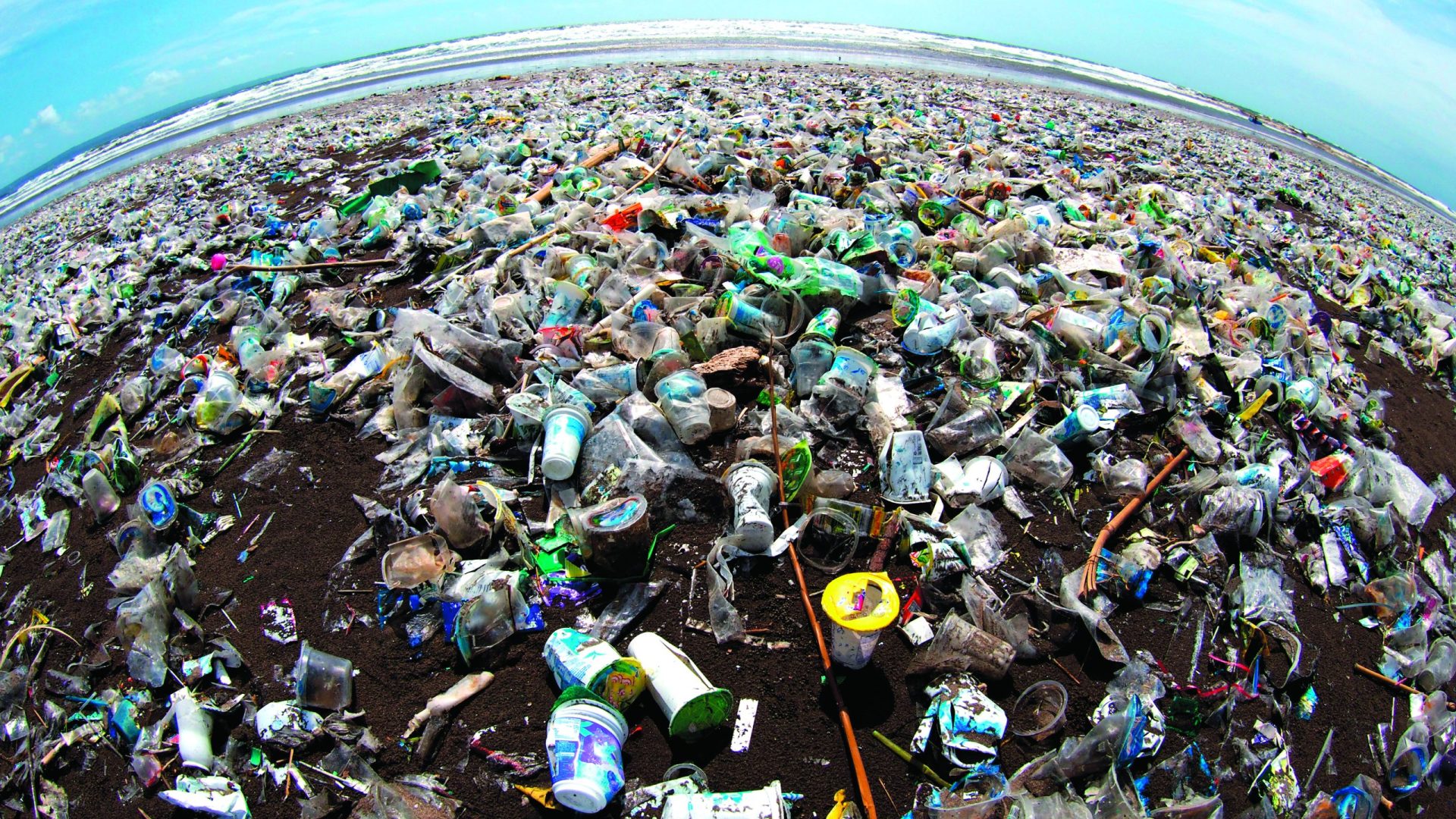 Reciclagem. E se pudesse trocar uma garrafa de plástico por comida?