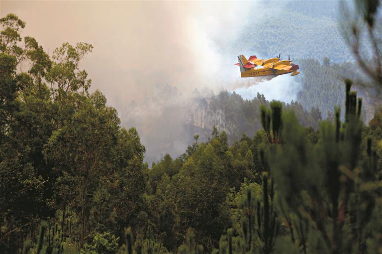 Custos de extinção de fogos em Portugal e Espanha ultrapassam os mil milhões de euros