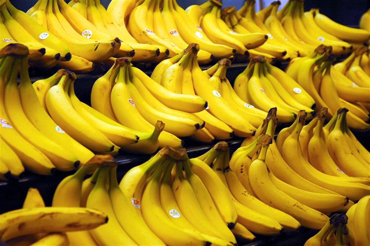 O mundo pode deixar de ter bananas em breve