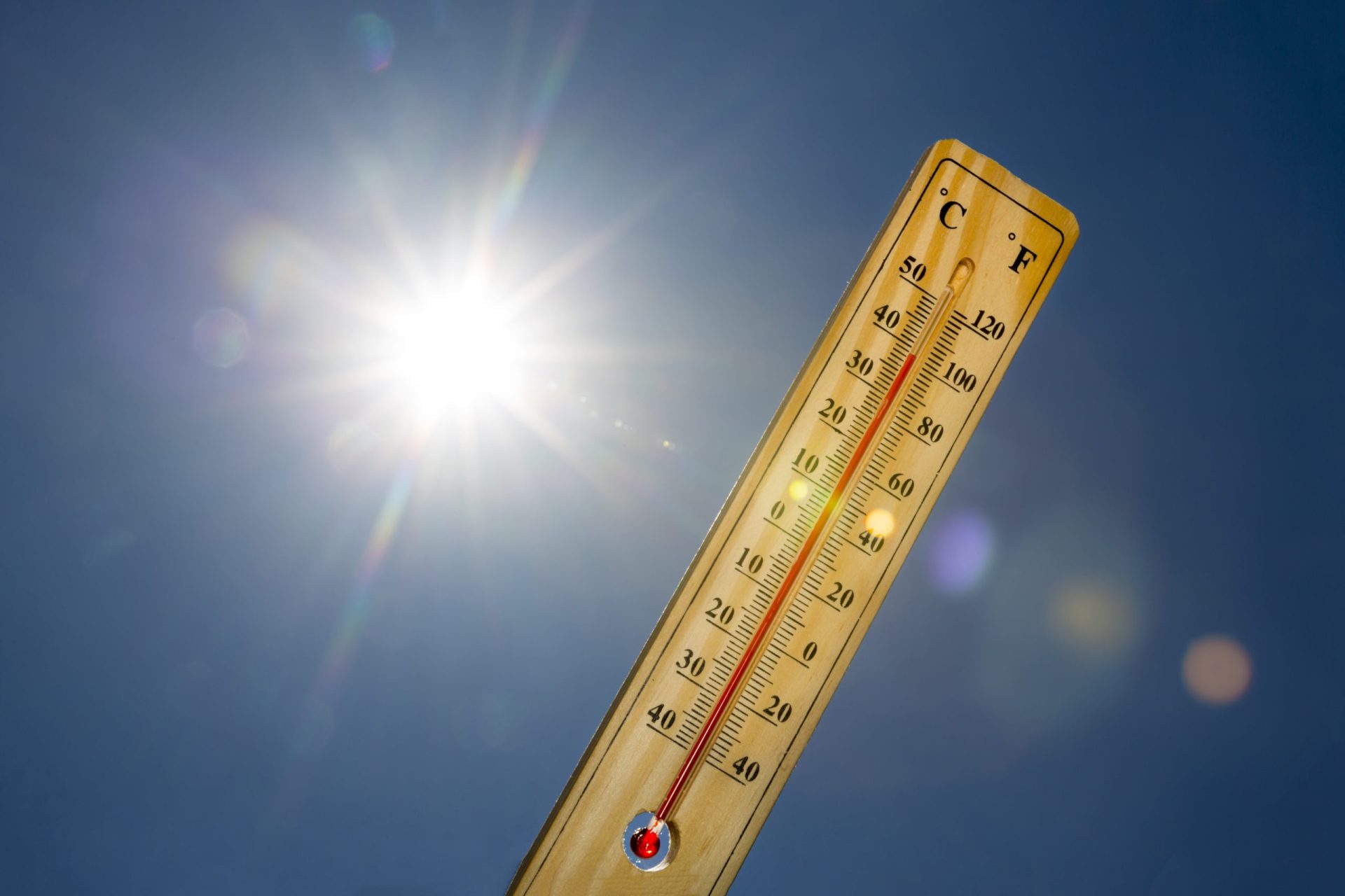 Calor. Estudo revela que as altas temperaturas vão continuar até 2022